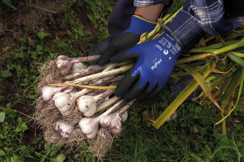 Manusi de protectie hyflex 11-925 Ansell